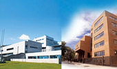 facultades UDD