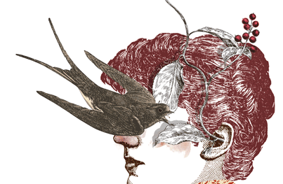 Ilustración Básica