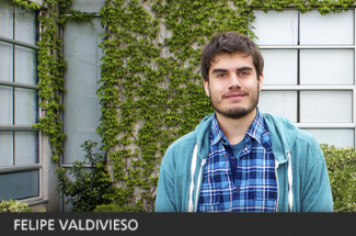 FELIPEVALDIVIESO