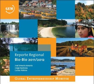 portada GEM Bio Bio 2011-2012