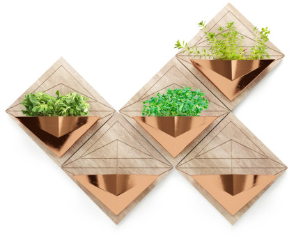 Plegos con plantas