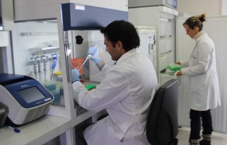 Centro Genetica UDD 1