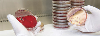 Investigación