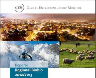 Portada Gem Biobio 2013