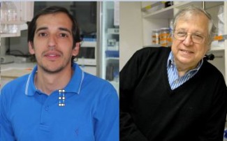 investigación udd uchile