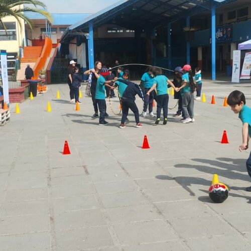 Investigadora UDD trabajará en el desarrollo de una plataforma tecnológica que promueva la alimentación saludable y la actividad física en escuelas públicas