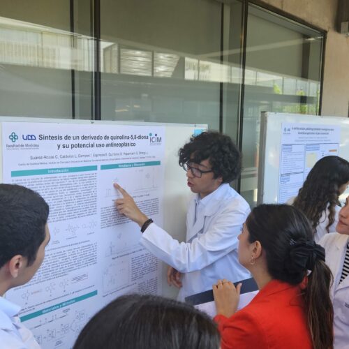 Nuevo curso track UDD busca introducir la investigación científica desde el pregrado