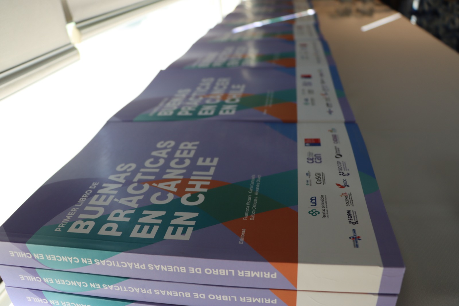 Primer Libro de Buenas Prácticas en Cáncer: evidencia aplicada para ...